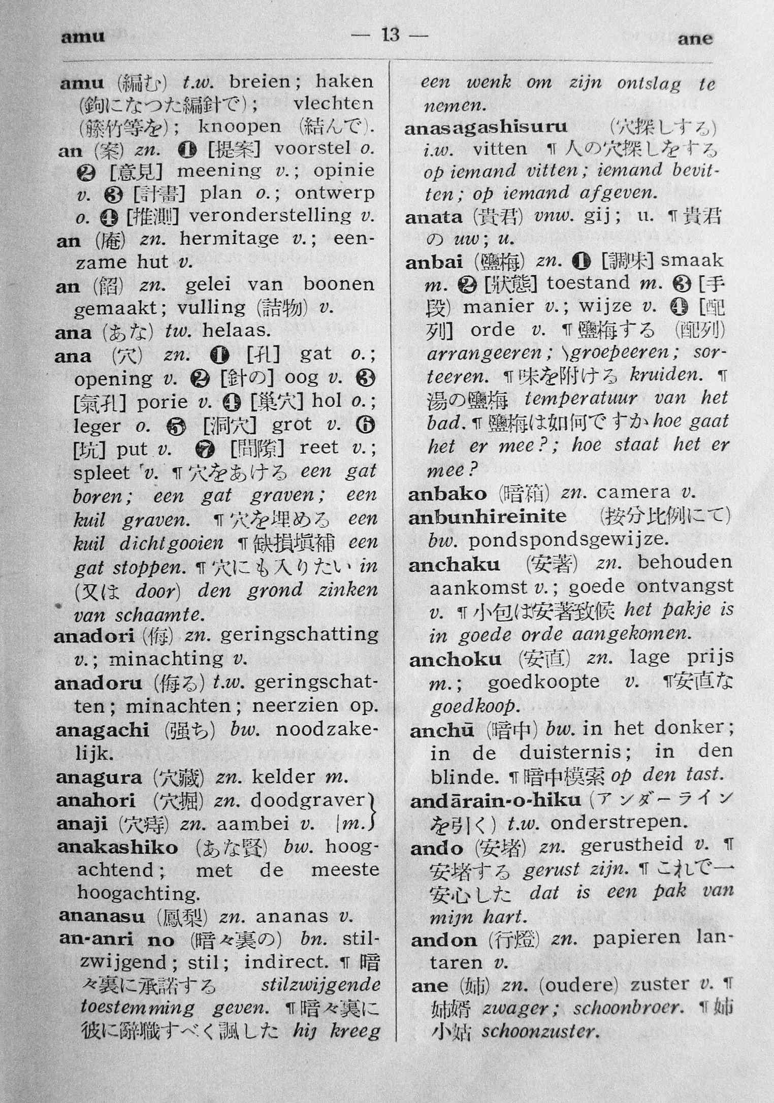 pagina 13
