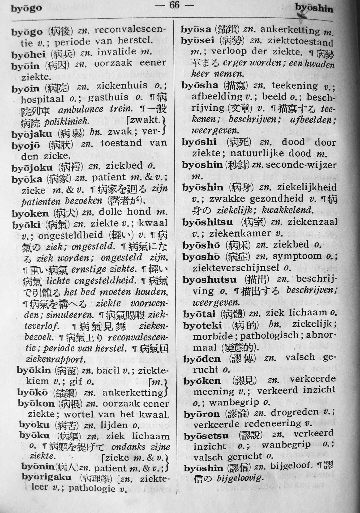 pagina 66