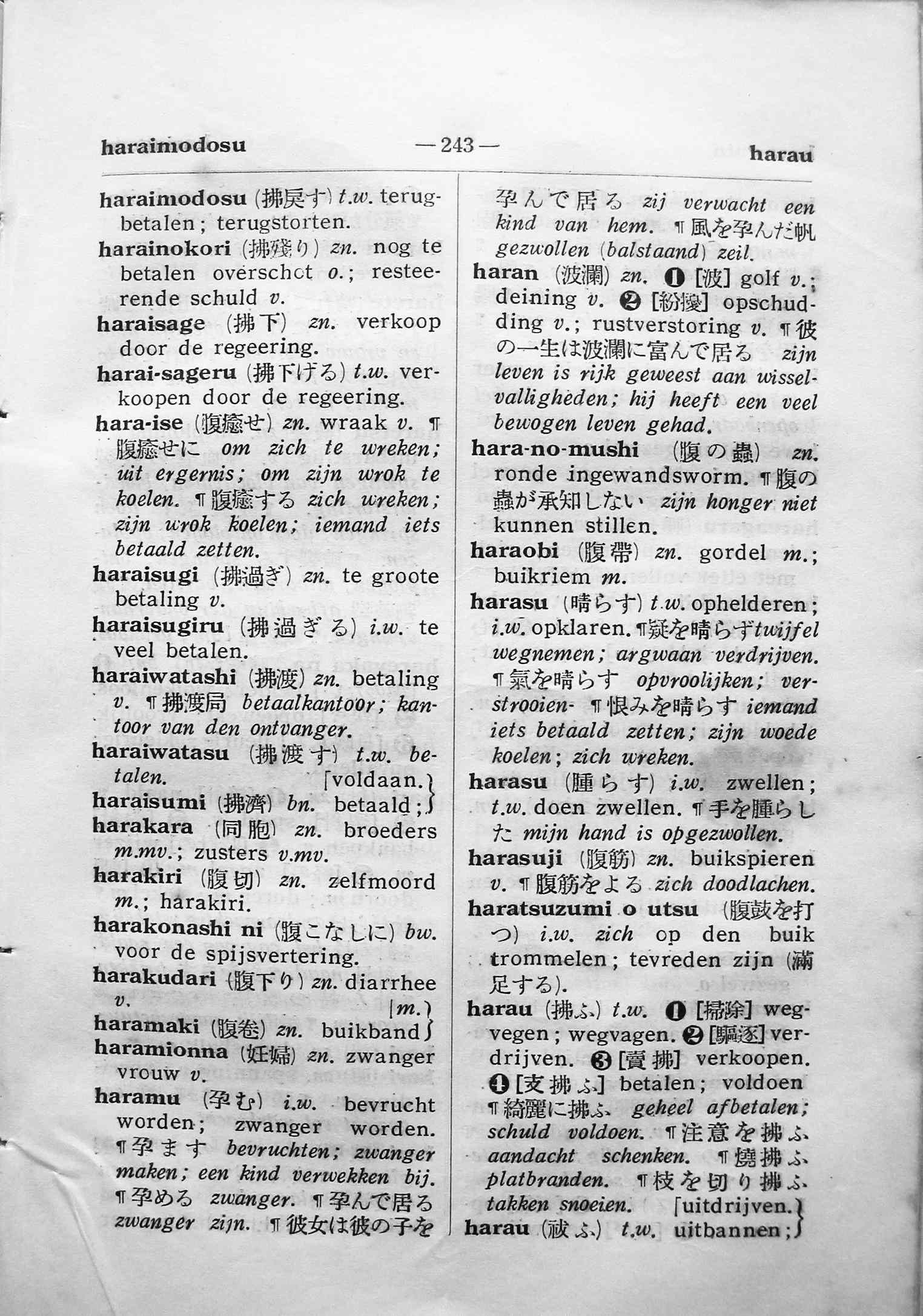 pagina 243