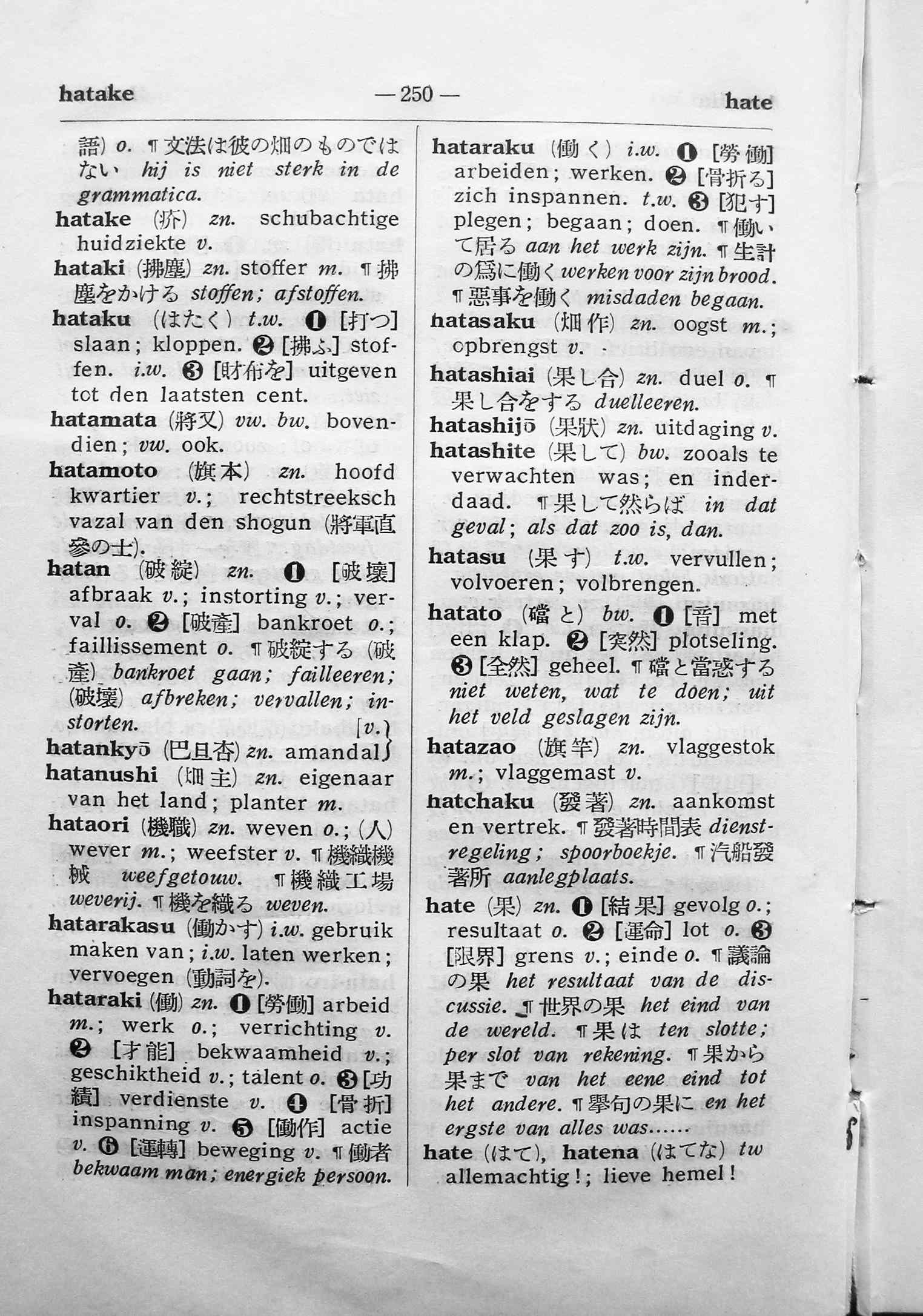 pagina 250