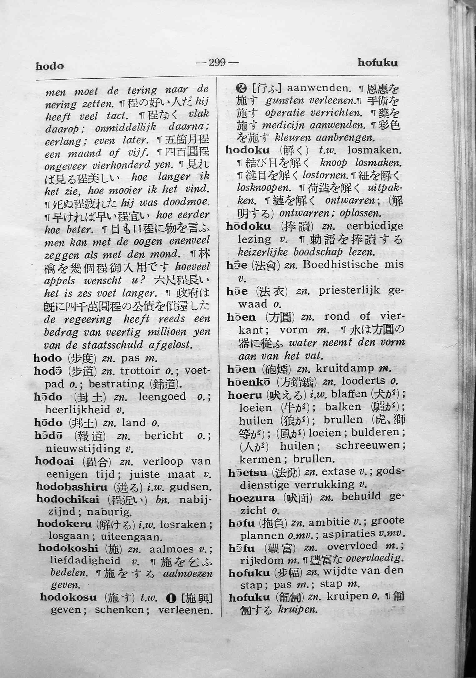 pagina 299