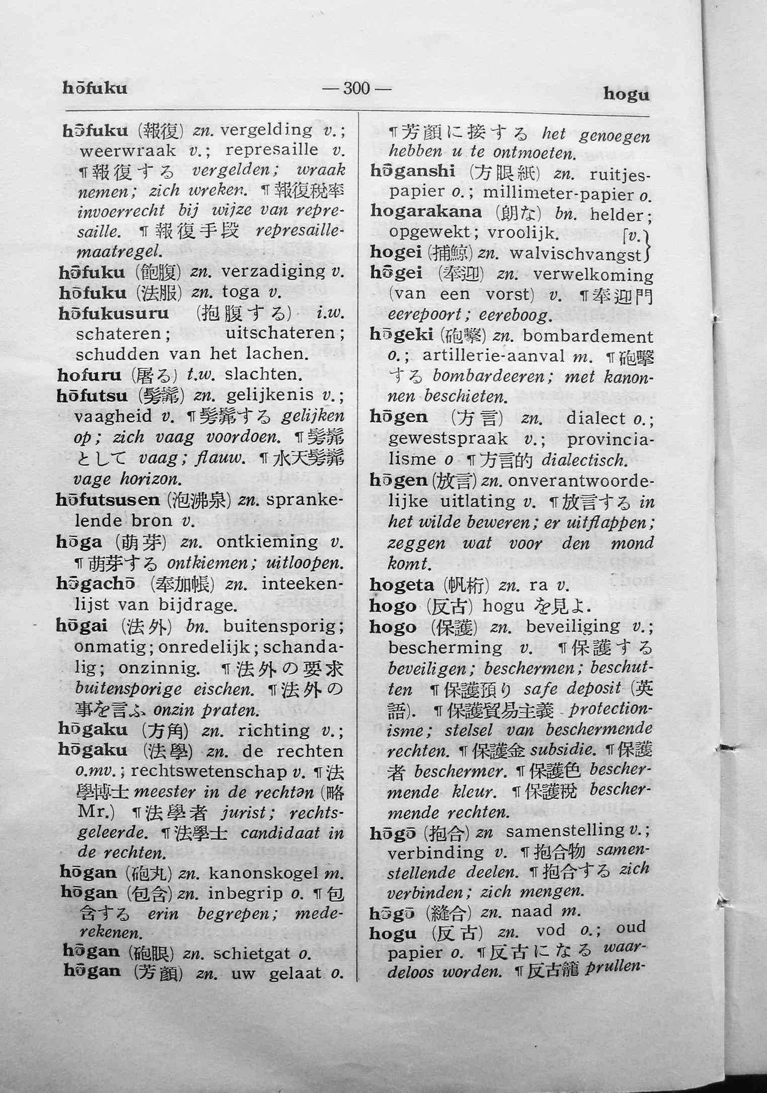 pagina 300