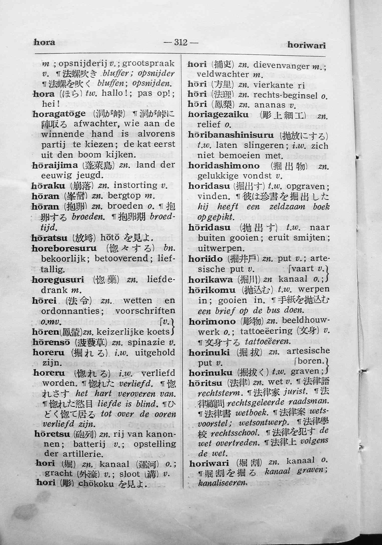 pagina 312