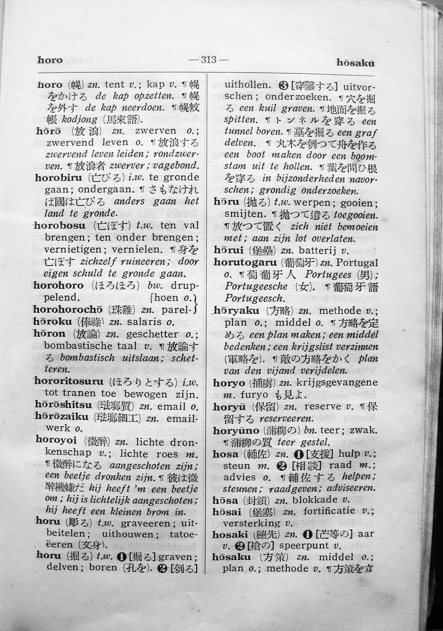 pagina 313